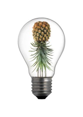 PineappleBulb