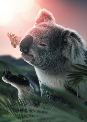 The Koala and Butterfly