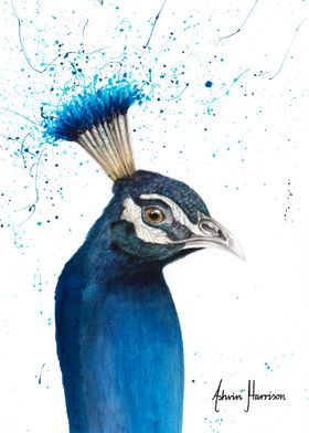 Peacock Portrait