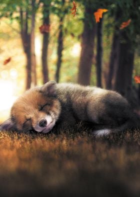 The Sleeping Fox Cub