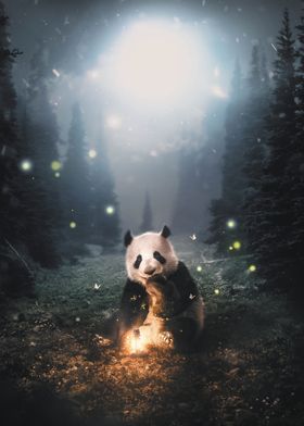 The Panda in The Forest