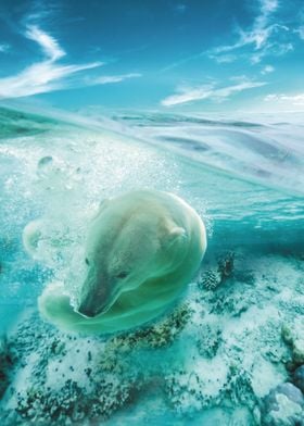The Swimming Polar Bear