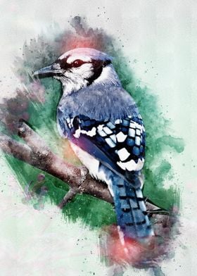 Watercolor Bird Painting