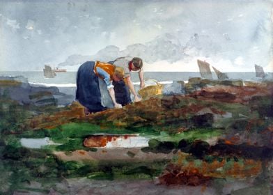 The Mussel Gatherers