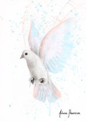 Peace Dove