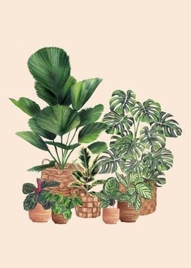 Plant lover illustration