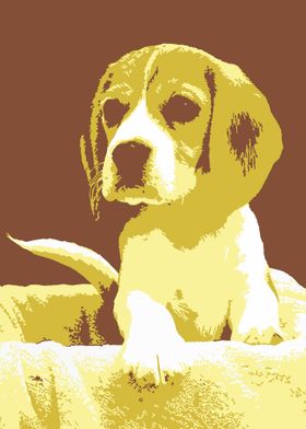 Puppy V14 Pop Art