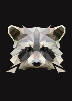 cool raccoon geometric