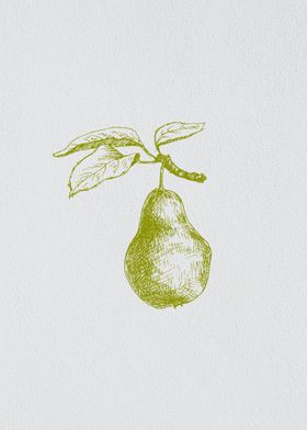 Minimalist Fruit Pear