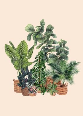 Plants In Pots