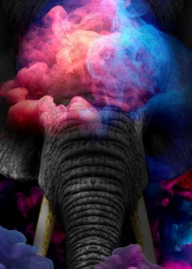 Elephant in the Mist