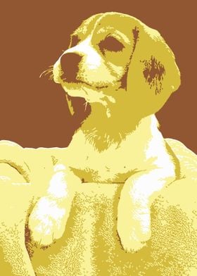 Puppy V12 Pop Art