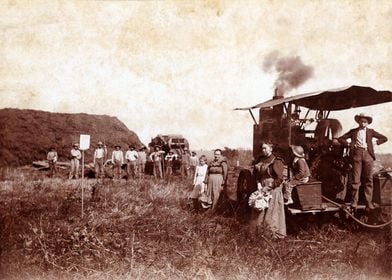 Wheat Threshing