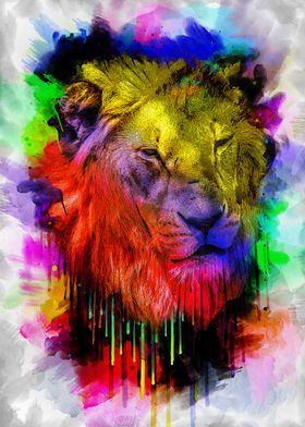 Colored Lion