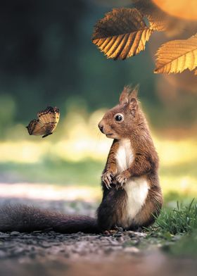 The Squirrel and Butterfly