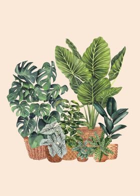 House plants art