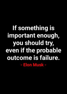 Elon Musk Quotes