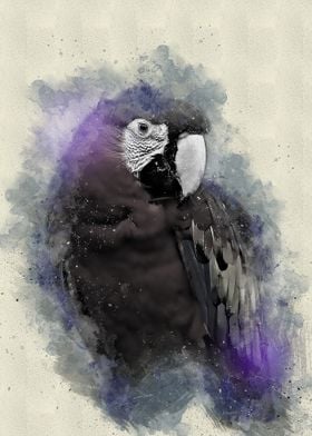 Watercolor Bird Painting