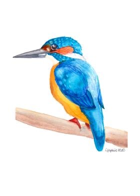 Kingfisher watercolor art