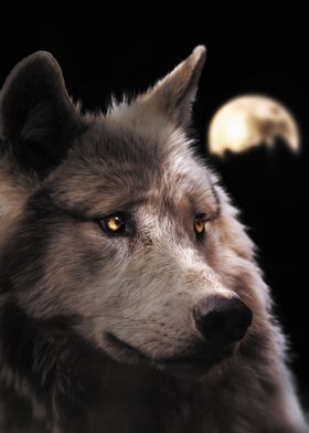 The Wolf and The Moon