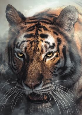 Misty Tiger Portrait