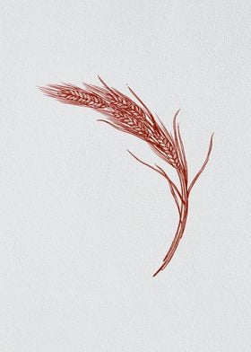 Minimalist Barley Grain