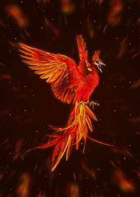 Rising Phoenix Bird 