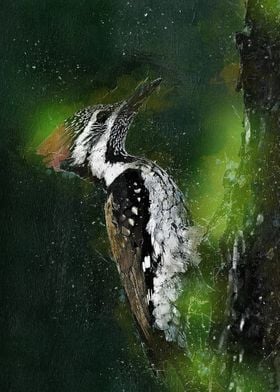 Watercolor Bird Painting
