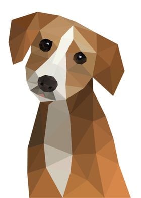 Polygonal dog