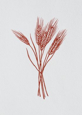 Minimalist Barley Grain