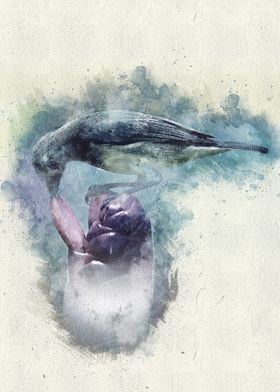 Watercolor Bird Painting