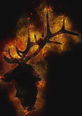 deer fire