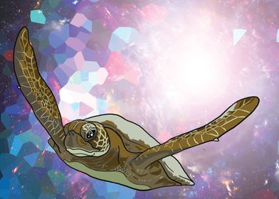 Turtle in Space