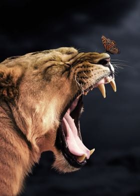 The Lioness and Butterfly