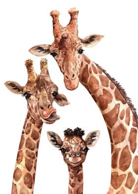 family giraffe