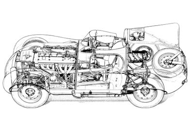 1955 Jaguar D Type race ra