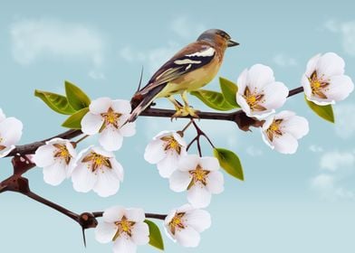 Cherry flowers and bird