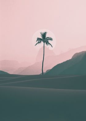 minimalist coconut tree