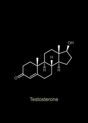 Testosterone