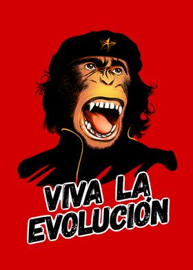 Chimp Che Evolucion