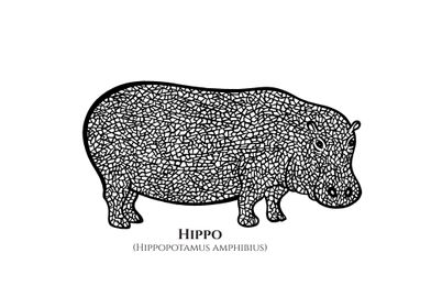 Hippo Drawing with Names