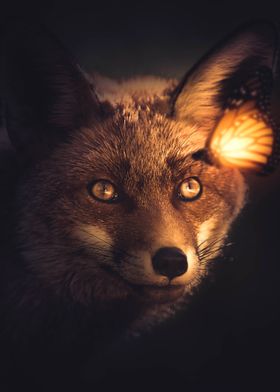 Fox and Glowing Butterfly