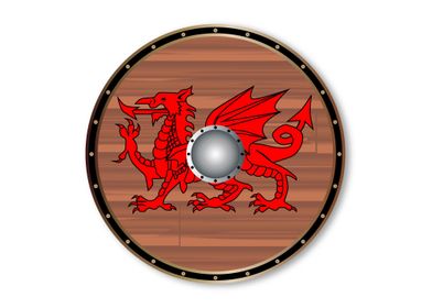 Round Celt Shield