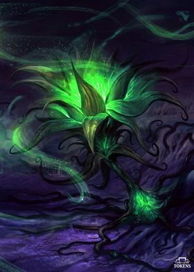 Fel Bloom