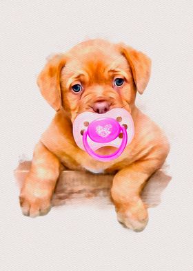 Puppy with pacifier