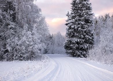 Winter road landscape