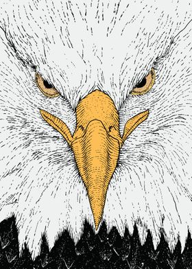 eagle engraving