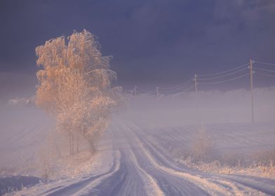 Snowy winter country road