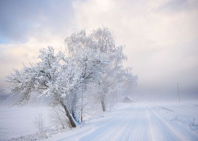 Winter road landscape