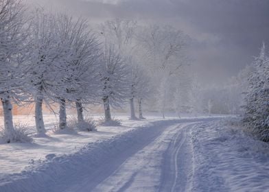 Winter road landscape